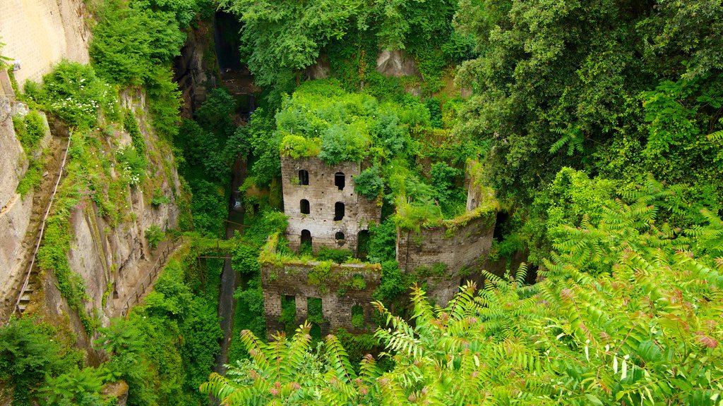 Deep Valley of the Mills which includes a garden, building ruins and heritage architecture