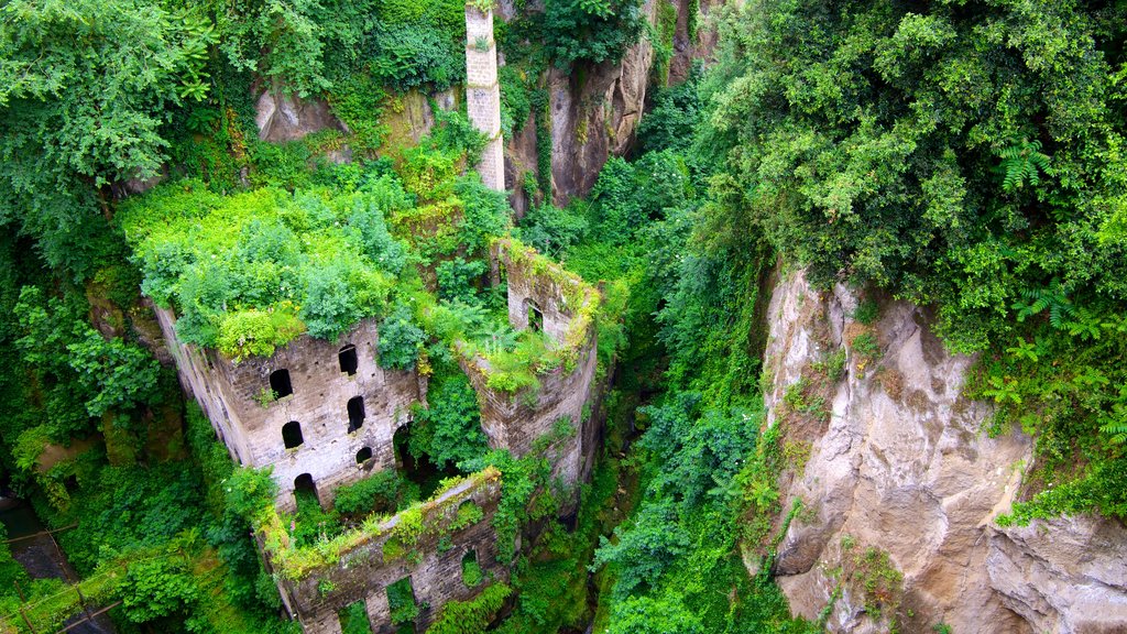 Deep Valley of the Mills showing building ruins, heritage elements and tropical scenes