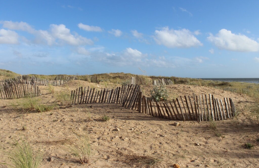 Dunes de Saint Jean de Monts
