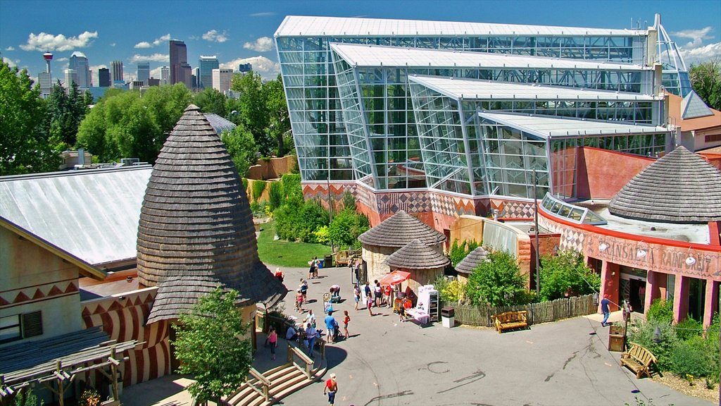 Parque zoológico de Calgary mostrando animales del zoológico, arquitectura moderna y una ciudad