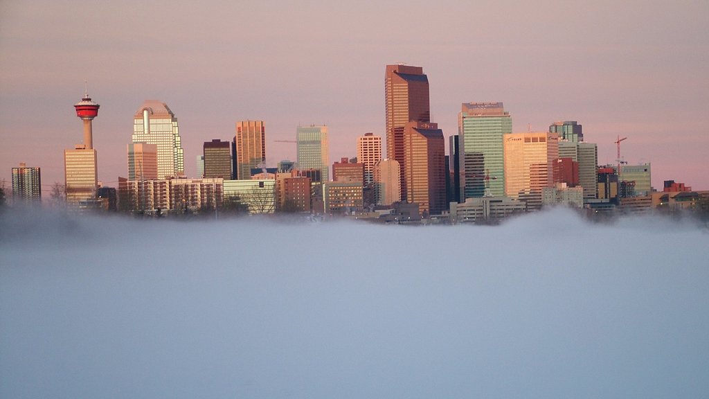 Parque zoológico de Calgary mostrando neblina o niebla, horizonte y un rascacielos