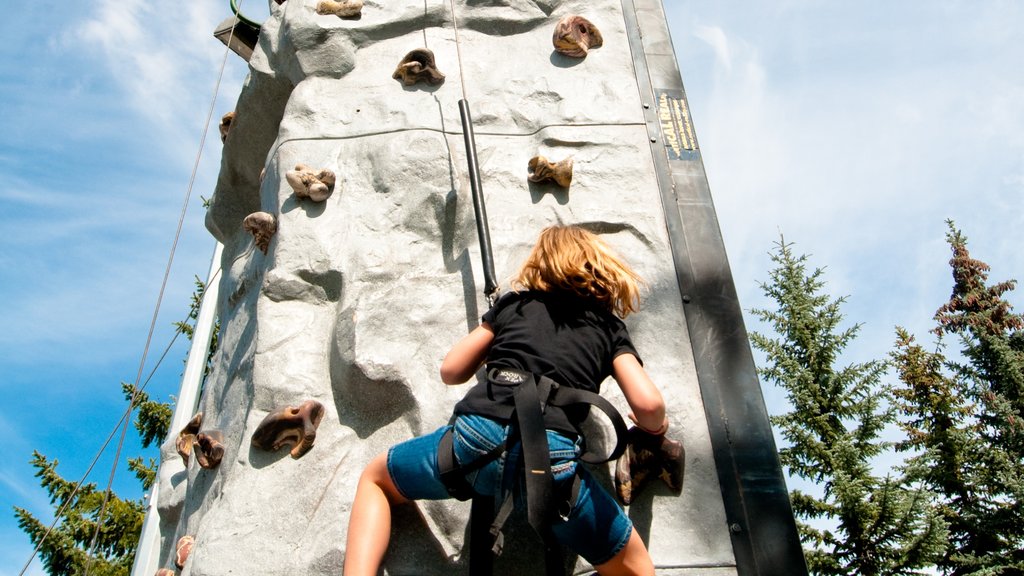 Canada Olympic Park showing a sporting event and climbing as well as an individual child