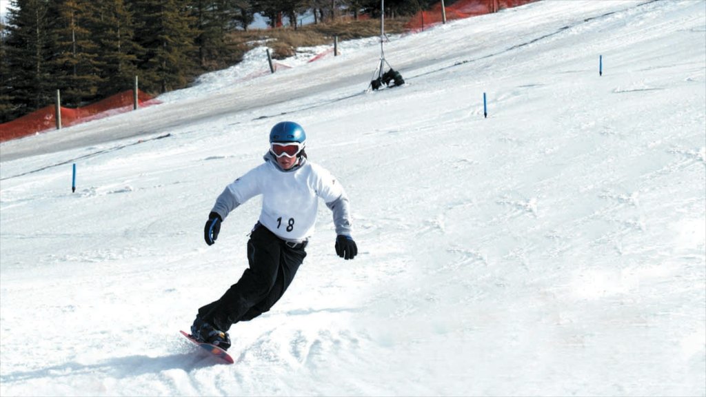 Canada Olympic Park mostrando snowboard, neve e um evento desportivo