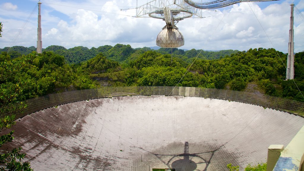 Observatório Arecibo mostrando cenas de floresta e um observatório