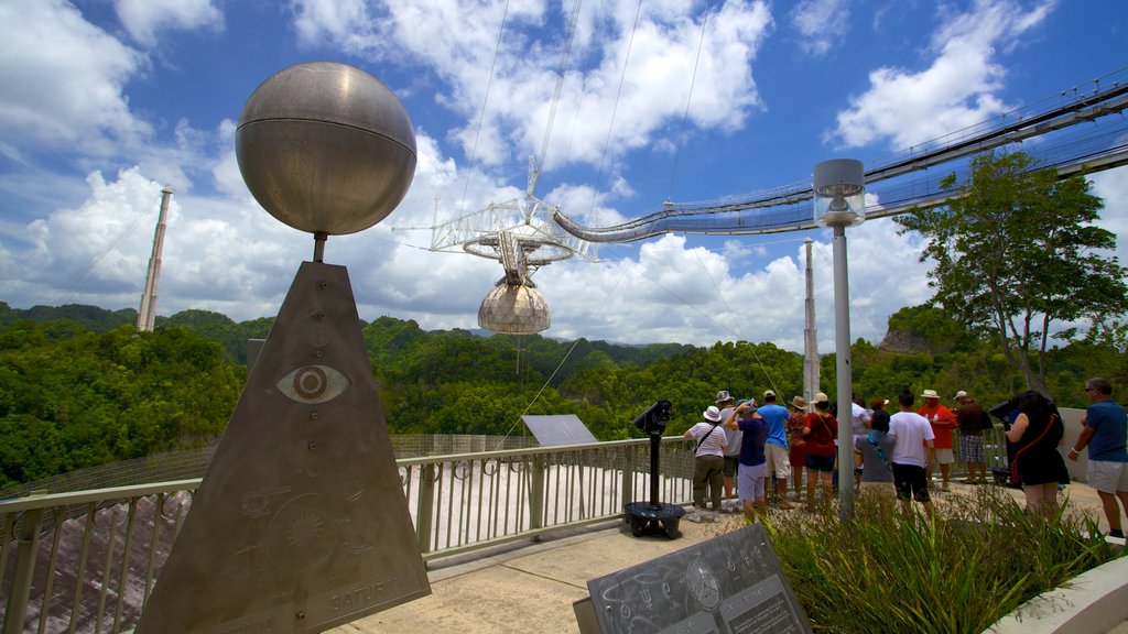 Observatorium Arecibo menampilkan hutan dan observatorium