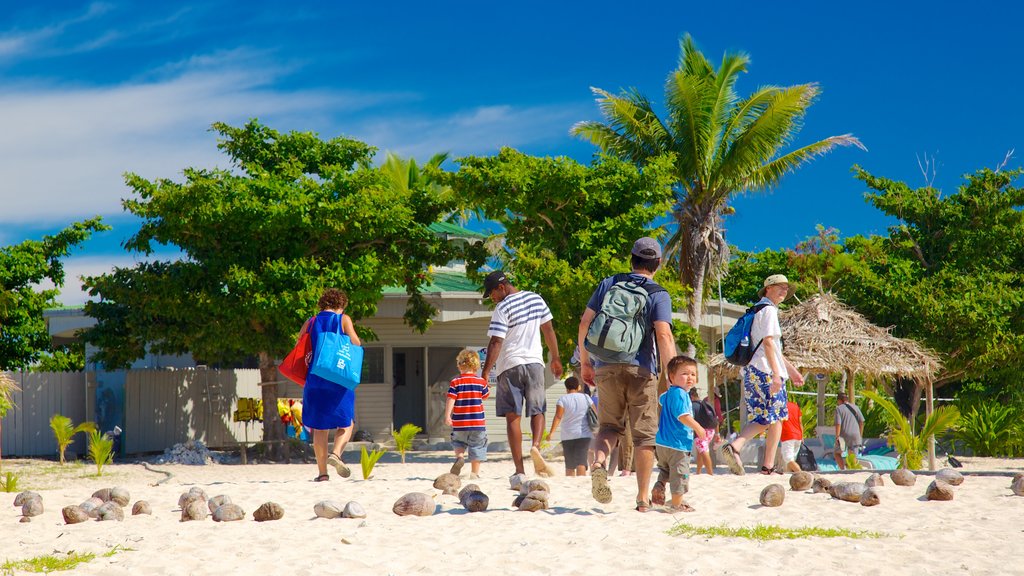 Fiji que incluye escenas tropicales, una playa y una ciudad costera