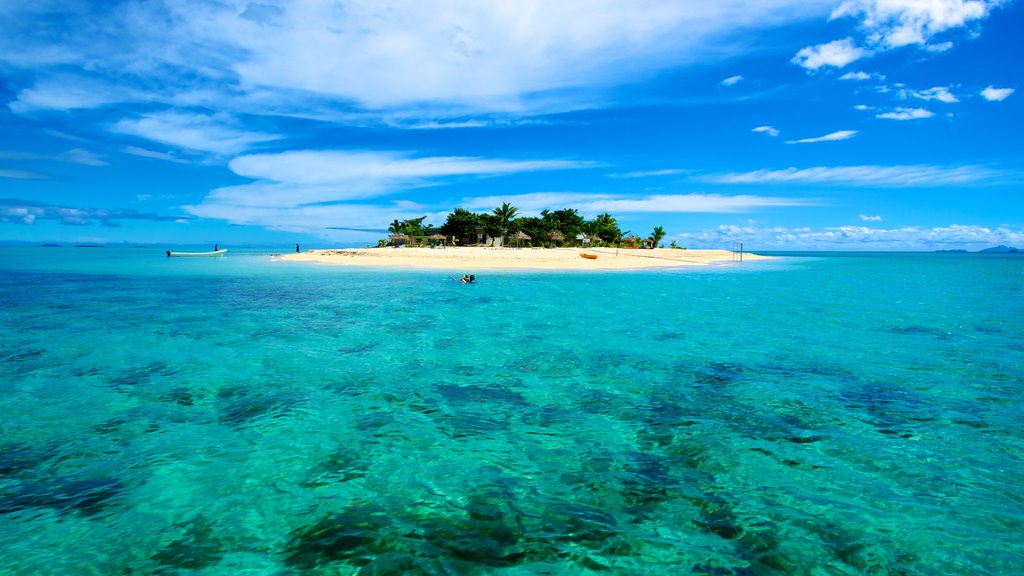 Fiji which includes island views and tropical scenes