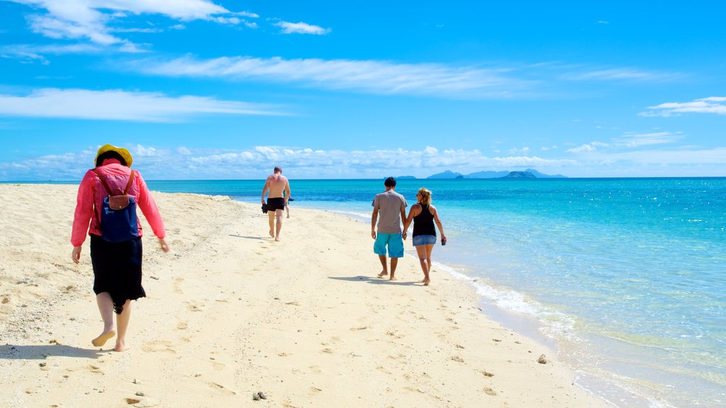 Fiji que inclui uma praia assim como um pequeno grupo de pessoas