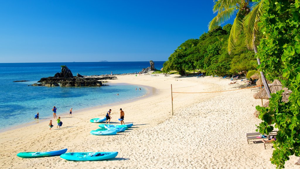 Castaway Island showing a bay or harbour, tropical scenes and a beach