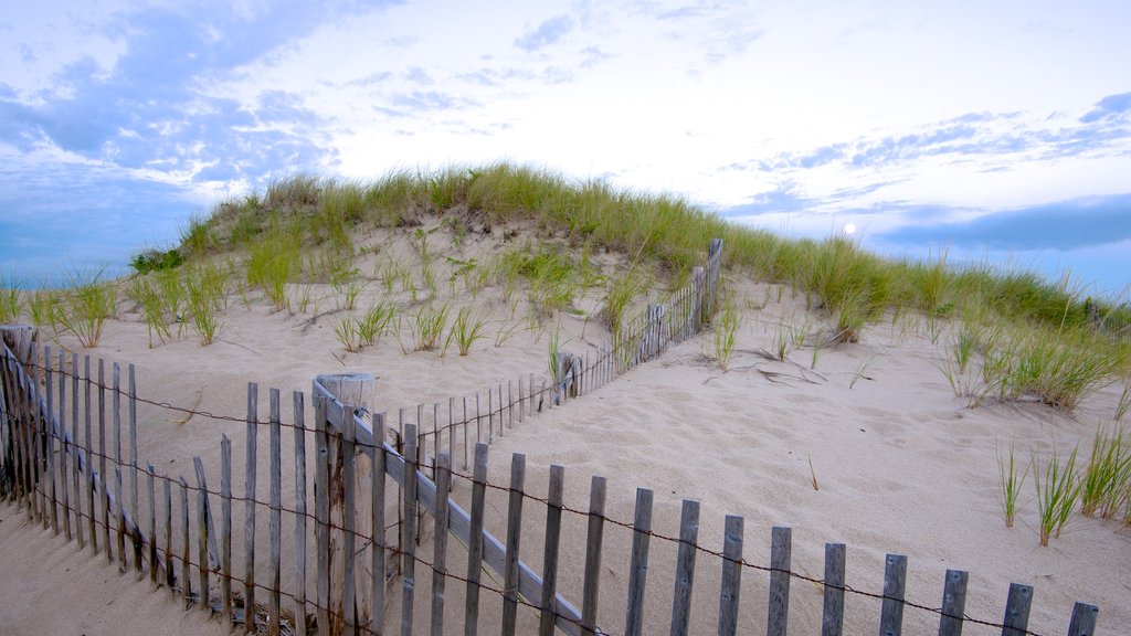 Race Point Beach which includes a beach