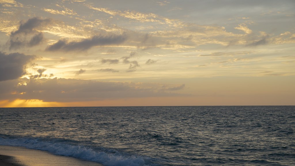 Race Point Beach showing a sunset, a sandy beach and general coastal views