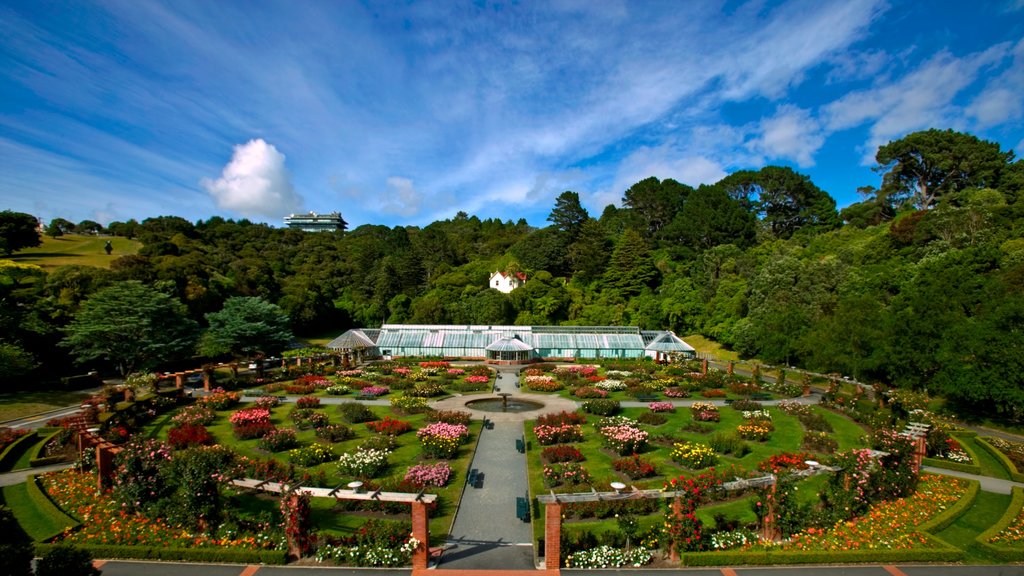 De botanische tuin van Wellington toont bossen, bloemen en een tuin