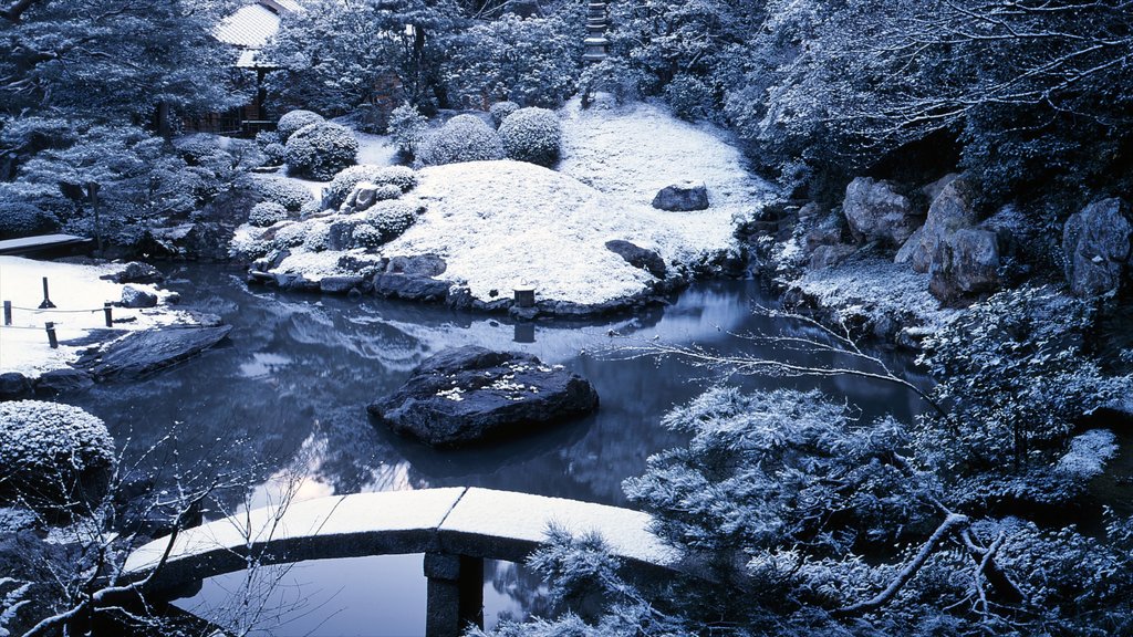 Shoren-in Temple featuring snow, a park and a pond