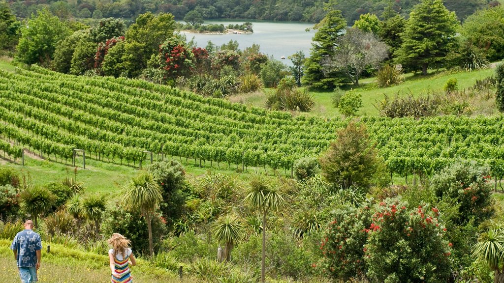 Plage de Cooks mettant en vedette terre agricole, paysages et forêts