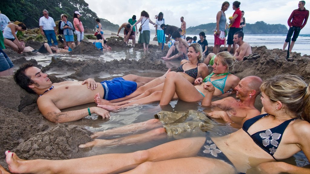 Cooks Beach caracterizando uma praia de areia assim como um grande grupo de pessoas