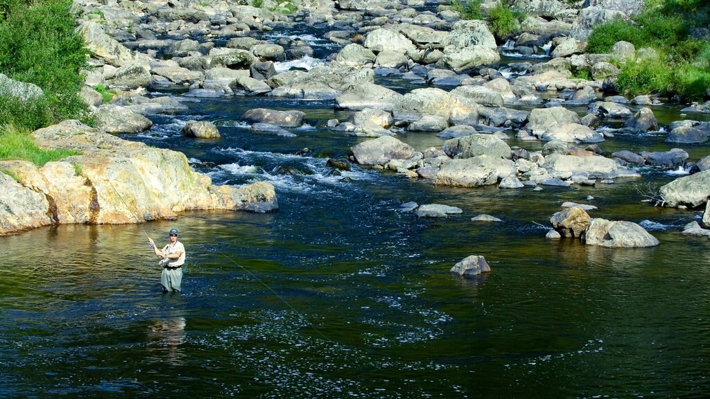 Karangahake Gorge showing a river or creek and fishing as well as an individual male