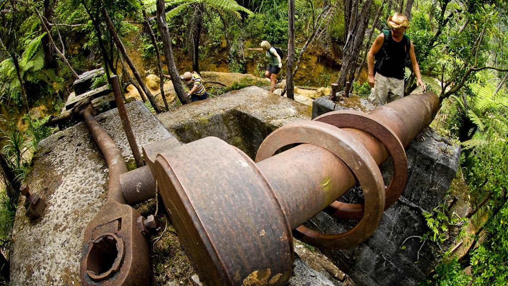 Karangahake Gorge showing building ruins and heritage elements