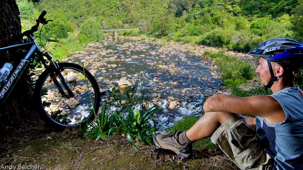 Karangahake Gorge ofreciendo bicicletas de montaña y un río o arroyo y también un hombre