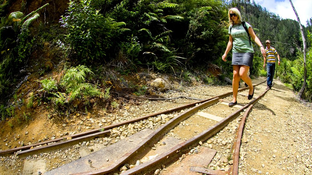 Gorge de Karangahake qui includes randonnée ou marche à pied et articles ferroviaires aussi bien que couple