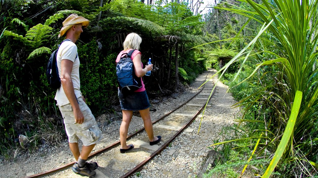 Karangahake Gorge featuring hiking or walking, railway items and tropical scenes