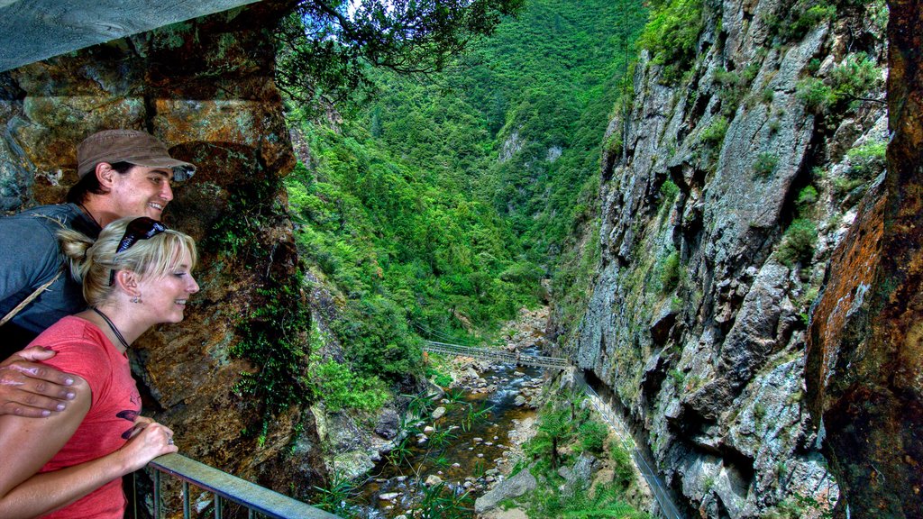 Karangahake Gorge toont vergezichten en ook een stel