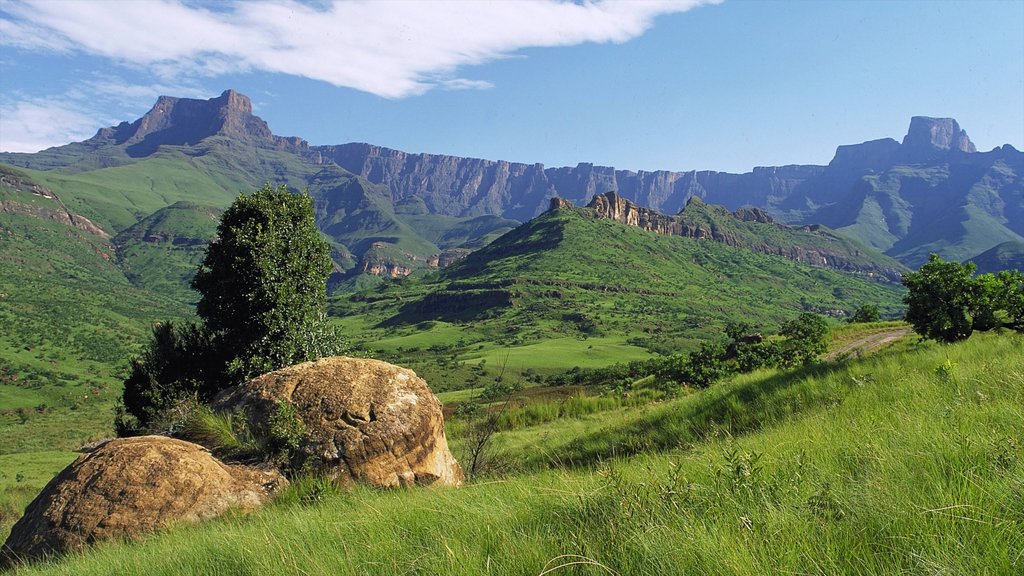 Sierra de Drakensberg que incluye vista panorámica, montañas y escenas tranquilas