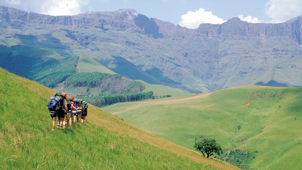 Drakensberg Mountains featuring landscape views, hiking or walking and mountains