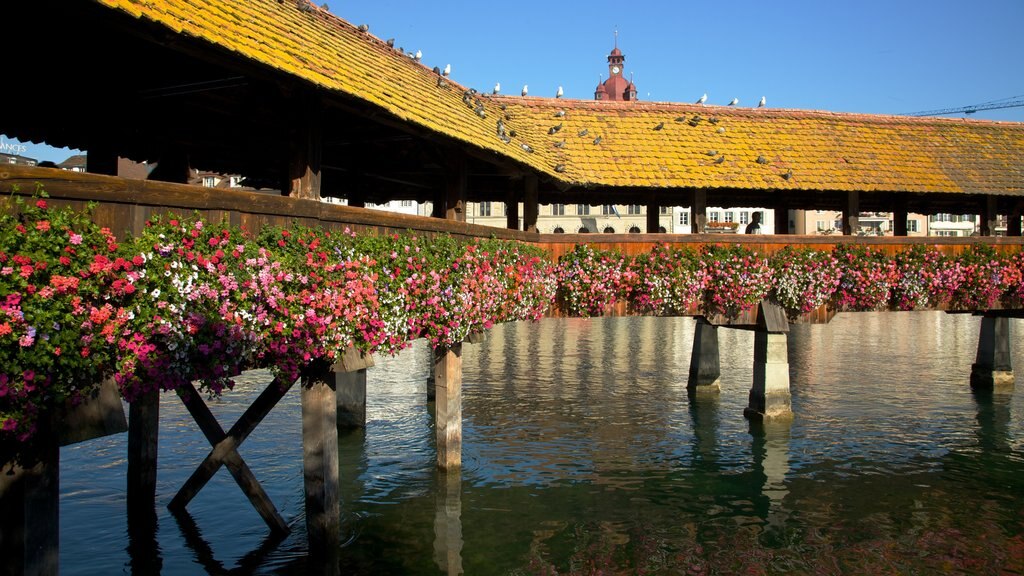 Chapel Bridge featuring flowers, a lake or waterhole and a bridge