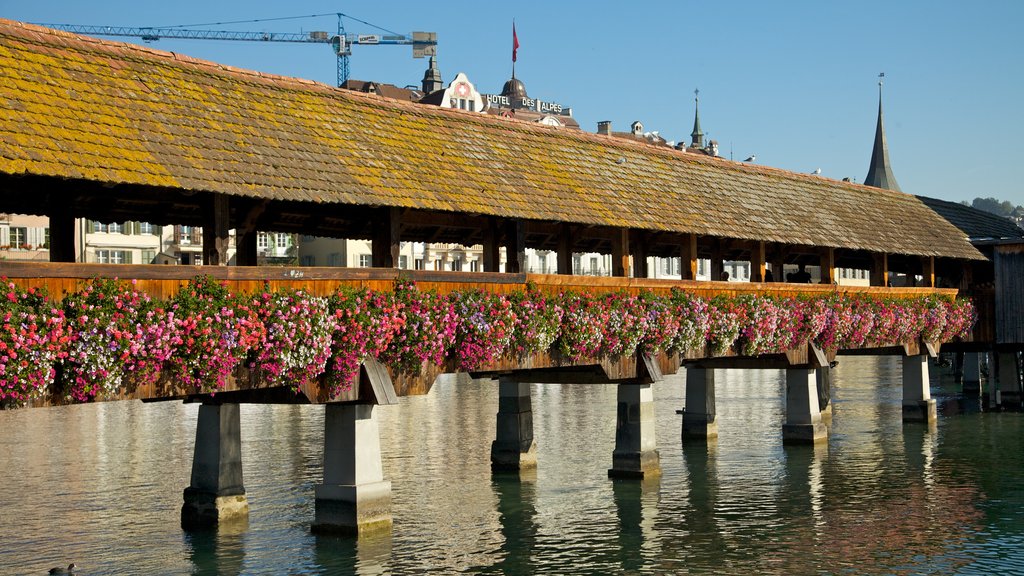 Pont de Lucerne mettant en vedette fleurs, pont et lac ou étang