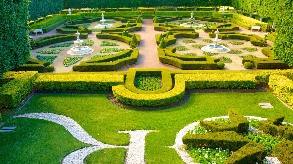 Hunter Valley Gardens showing a garden