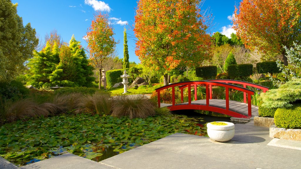 Hunter Valley Gardens showing a pond, a park and a bridge