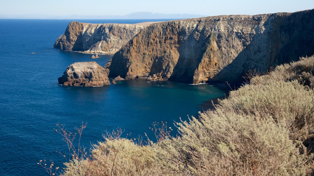 Cavern Point showing rocky coastline and general coastal views