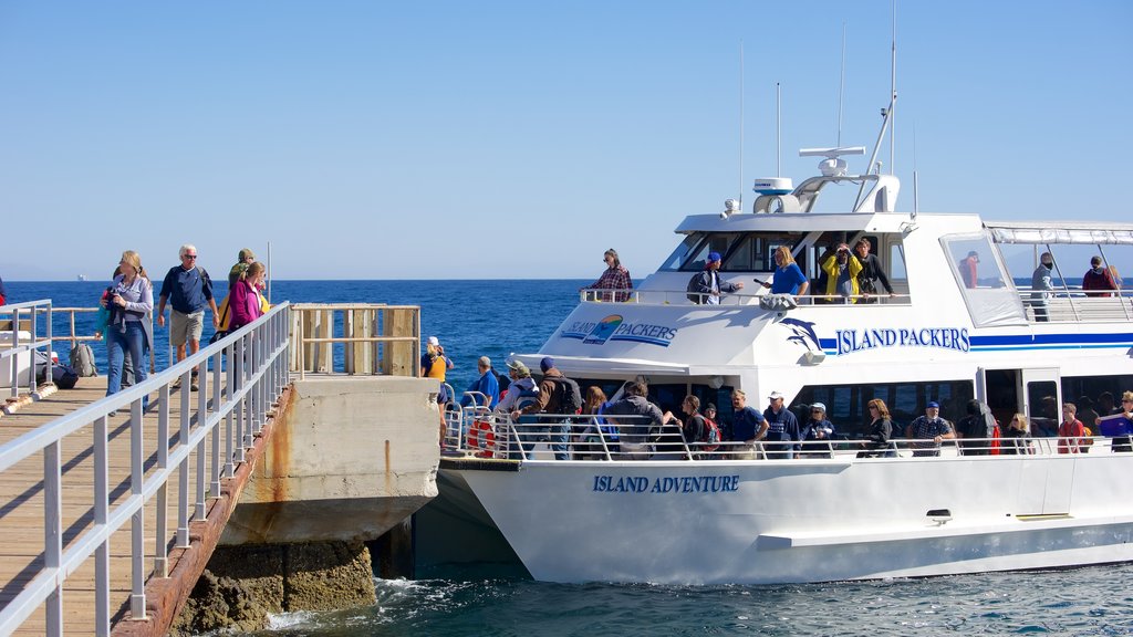 Smugglers Cove showing general coastal views and boating as well as a small group of people