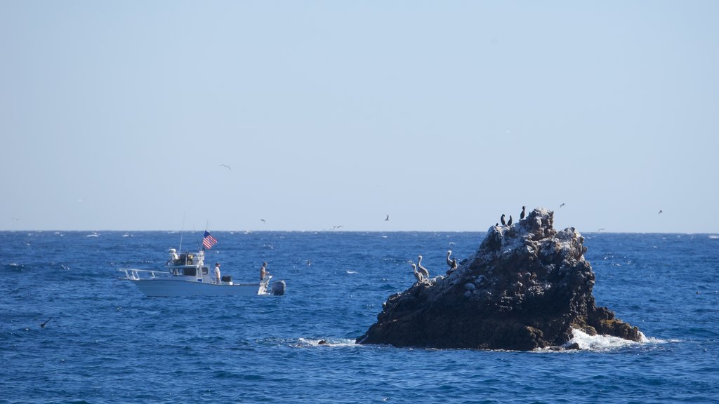 Playa Smugglers Cove que incluye vistas generales de la costa, imágenes de una isla y paseos en lancha