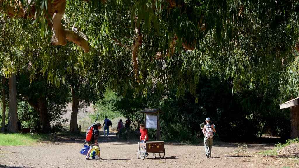 Playa Smugglers Cove ofreciendo jardín y también un pequeño grupo de personas