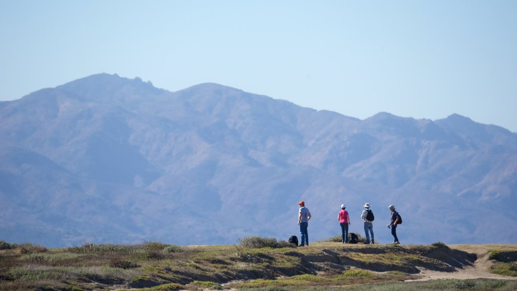 Potato Harbour which includes tranquil scenes, landscape views and hiking or walking