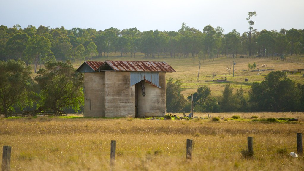 Singleton showing landscape views and tranquil scenes