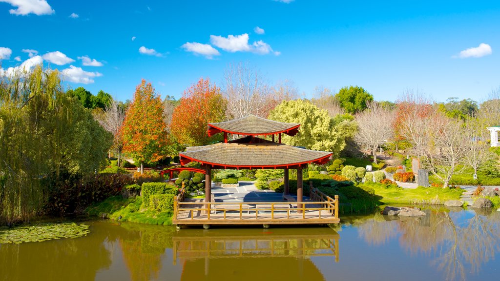 Hunter Valley que inclui um jardim, um lago ou charco e folhas de outono