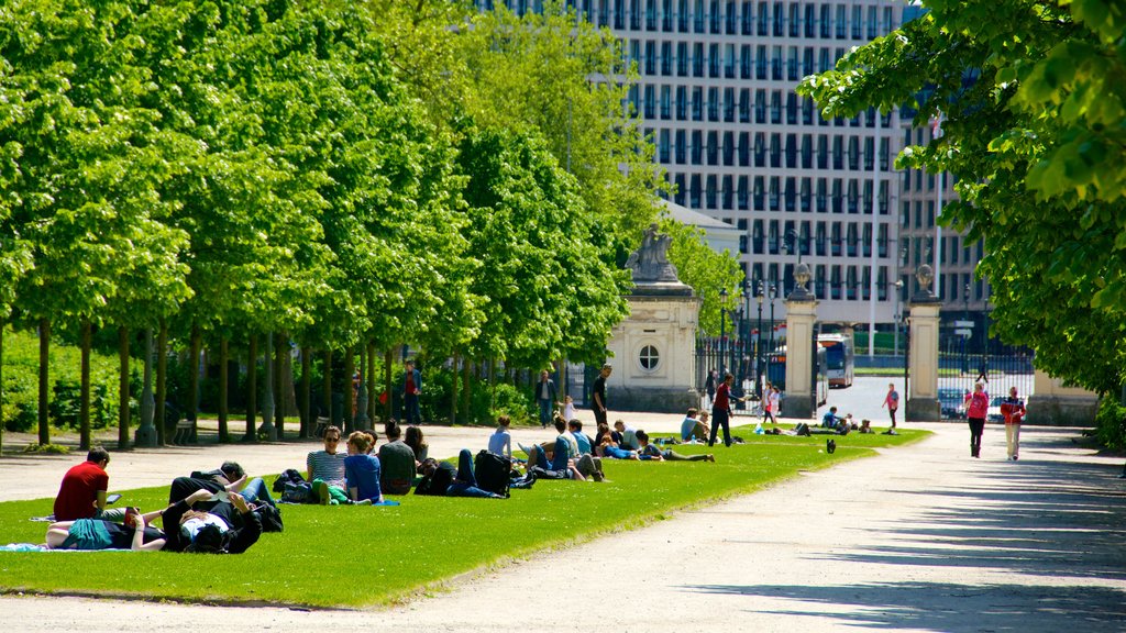 Brussels Park showing a garden, picnicking and a city