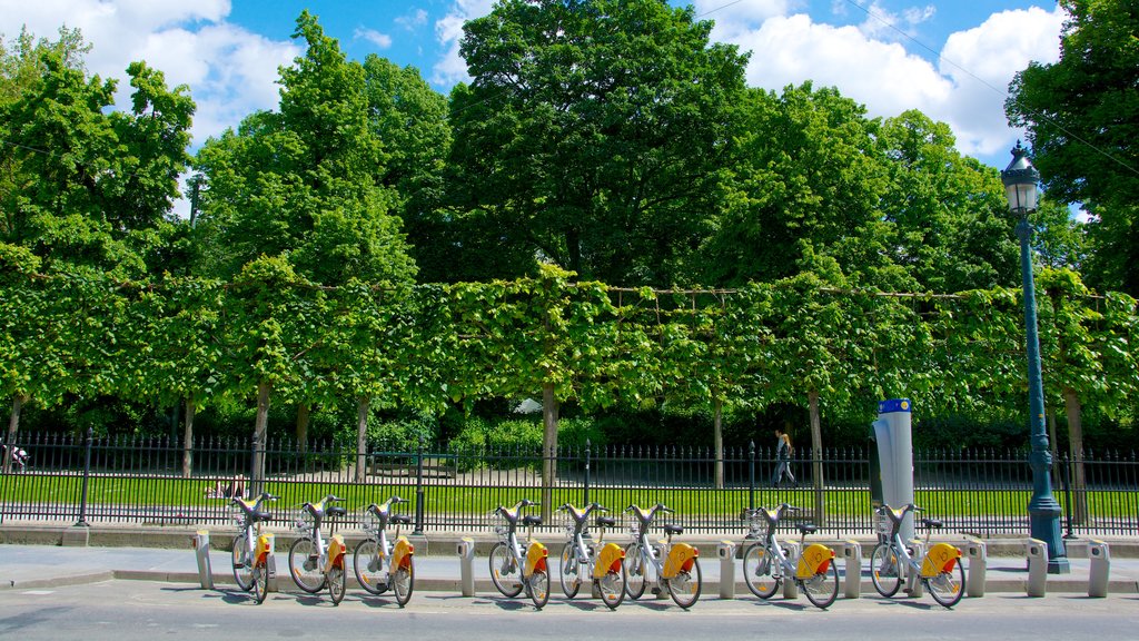 Brussels Park showing a garden and cycling