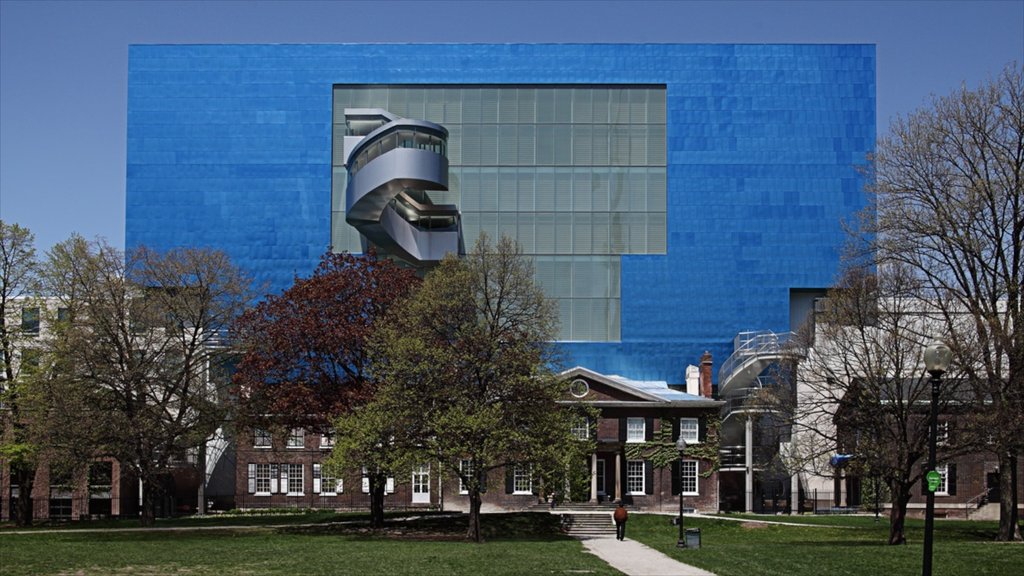 Art Gallery of Ontario showing modern architecture and a city