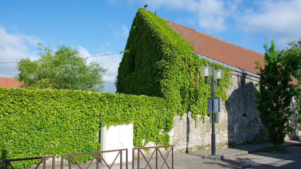 Roissy-en-France toont een klein stadje of dorpje en een huis