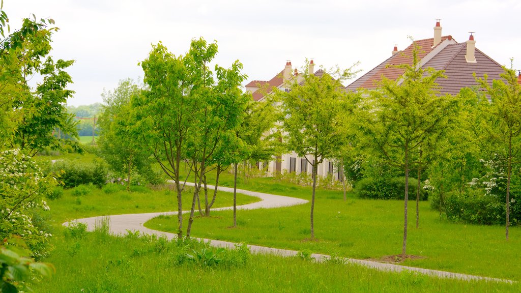 Magny-le-Hongre showing a garden