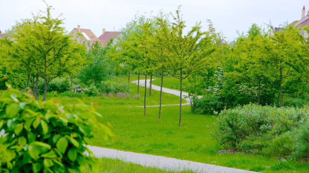 Magny-le-Hongre mettant en vedette un parc