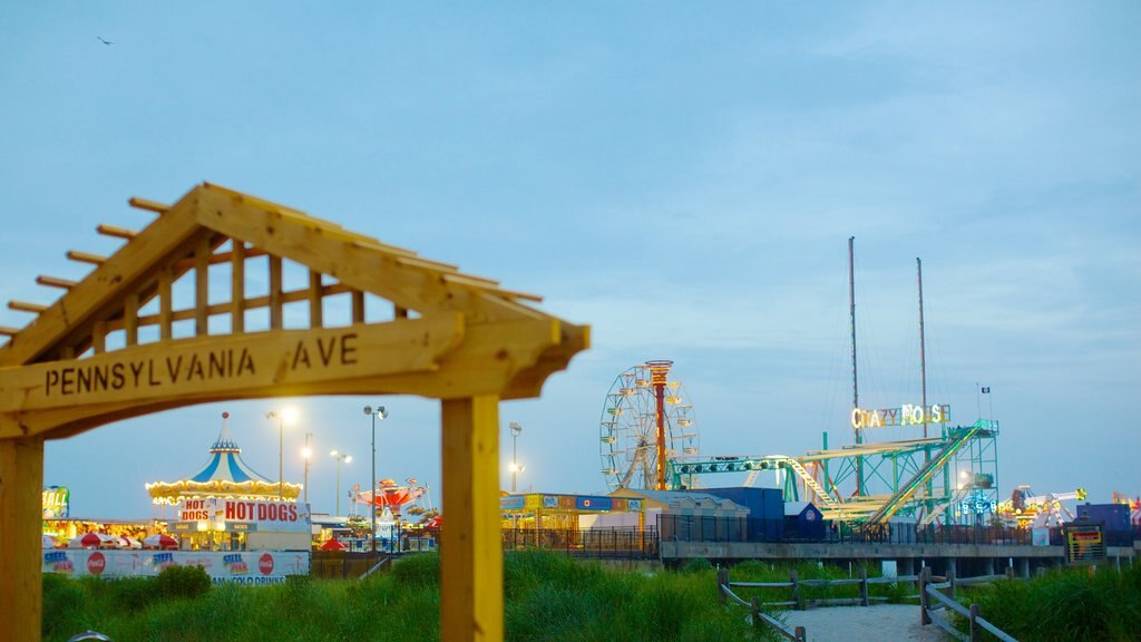 Steel Pier showing rides, a park and signage