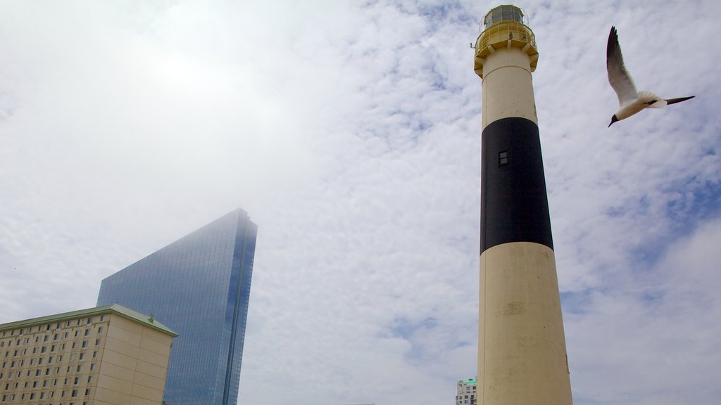 Faro de Absecon que incluye arquitectura moderna, vida de las aves y un faro