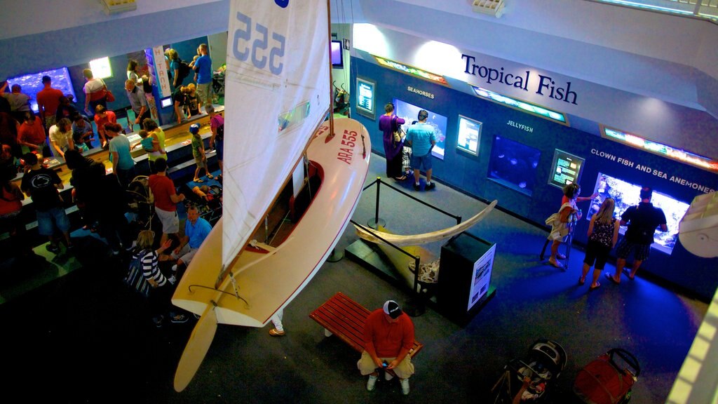 Atlantic City Aquarium showing marine life and interior views as well as a large group of people