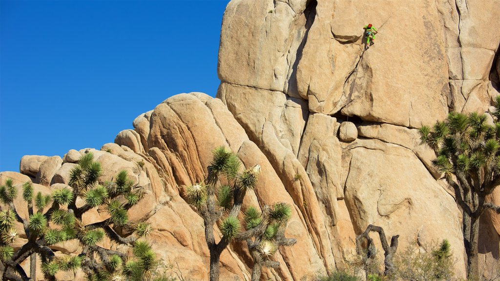 Rocher Intersection Rock montrant une gorge ou un canyon