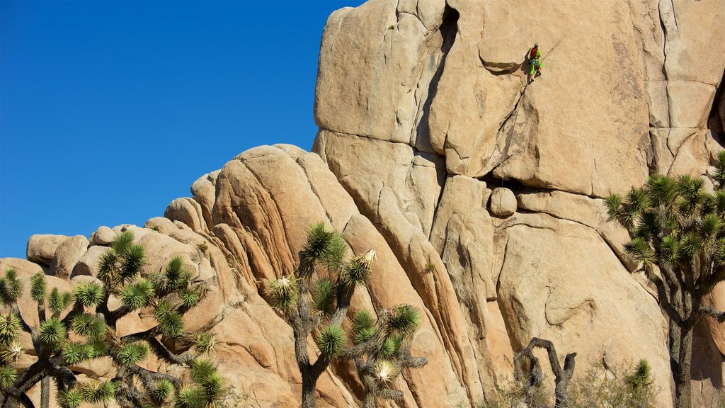 Intersection Rock