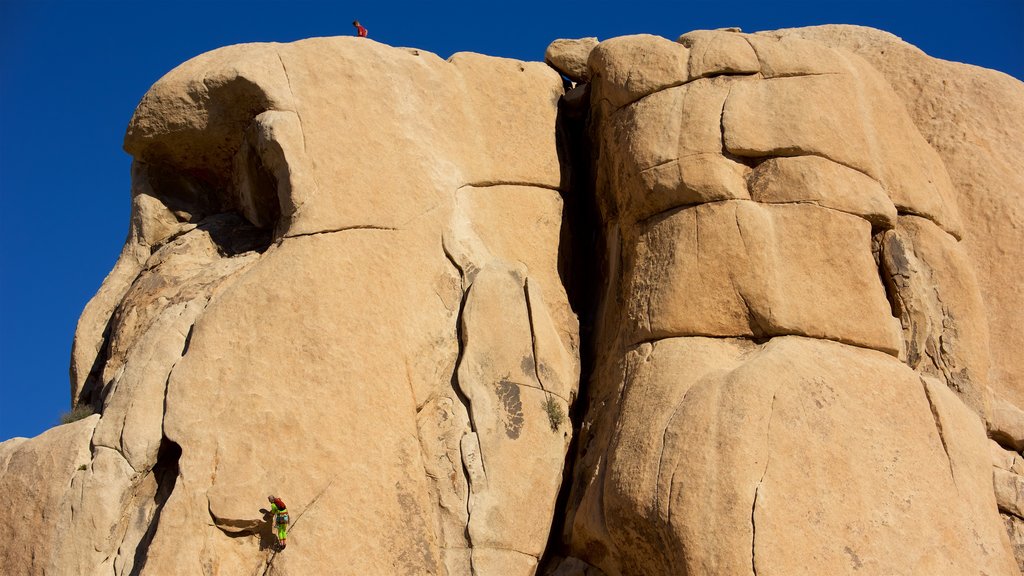 Intersection Rock mostrando um desfiladeiro ou canyon